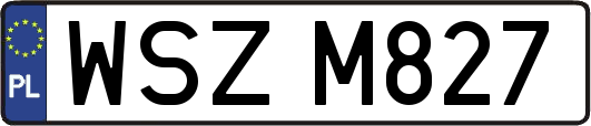 WSZM827