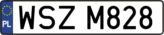 WSZM828