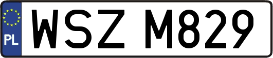 WSZM829