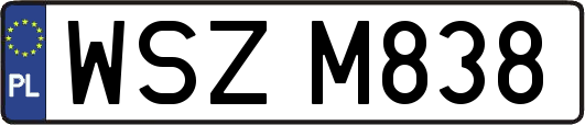 WSZM838