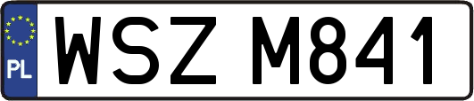 WSZM841
