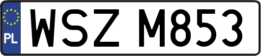 WSZM853