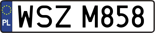 WSZM858