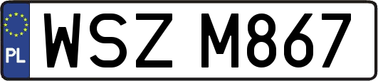 WSZM867