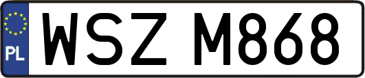WSZM868