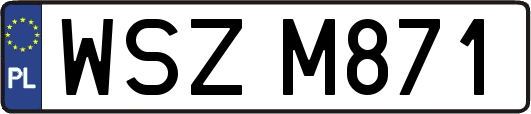 WSZM871