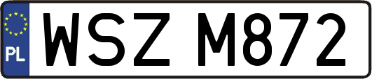 WSZM872
