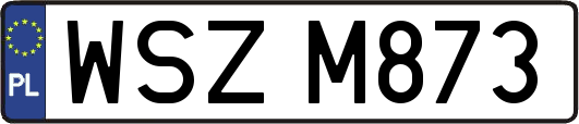 WSZM873
