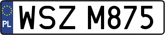 WSZM875