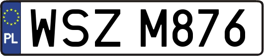 WSZM876
