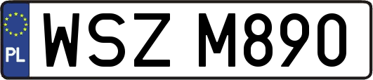 WSZM890