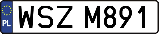 WSZM891