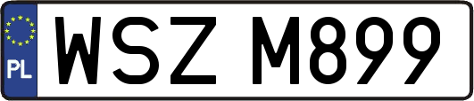 WSZM899