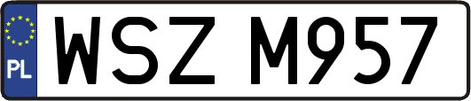 WSZM957