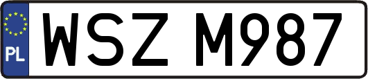 WSZM987
