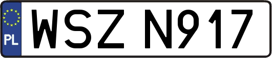 WSZN917