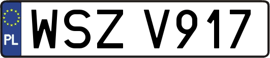 WSZV917