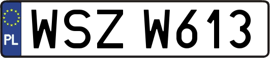 WSZW613