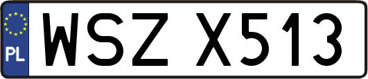 WSZX513