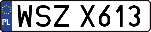 WSZX613