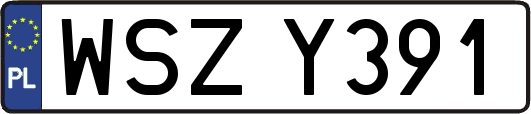 WSZY391