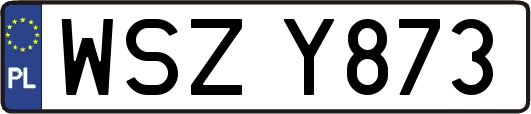 WSZY873