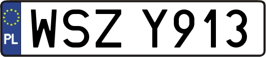 WSZY913