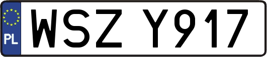 WSZY917