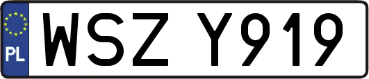 WSZY919