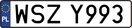 WSZY993
