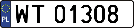 WT01308