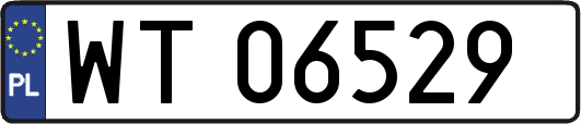 WT06529