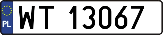 WT13067