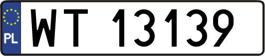 WT13139