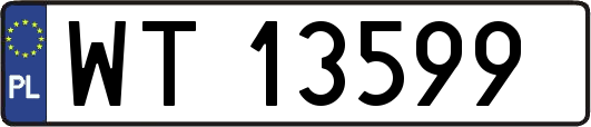 WT13599