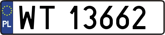 WT13662