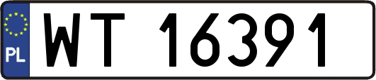 WT16391