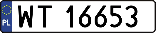 WT16653