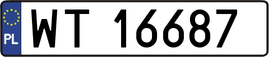 WT16687