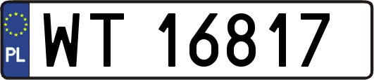 WT16817