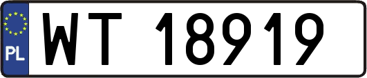 WT18919