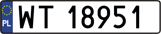 WT18951