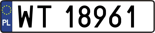 WT18961