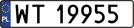 WT19955