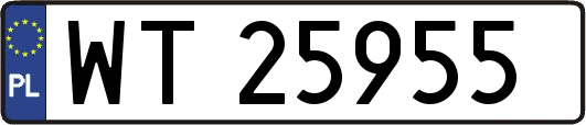 WT25955