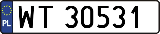 WT30531