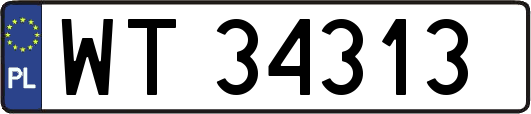 WT34313
