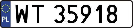 WT35918