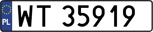 WT35919