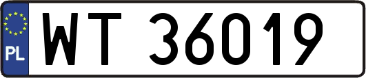 WT36019